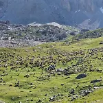 & Les Cimes D'aurea Lägenhet *