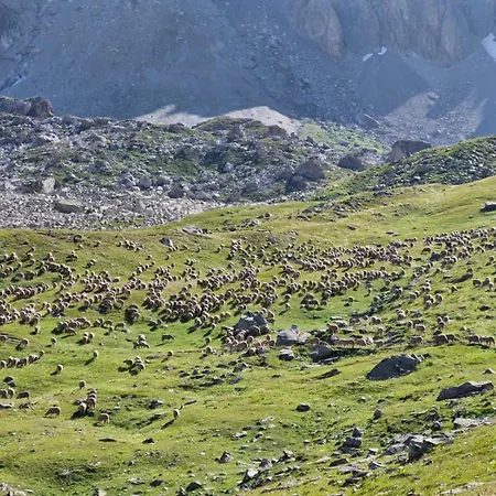 & Les Cimes D'aurea Apartamento *